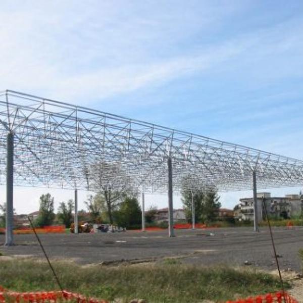 Mercato dei Fiori Viareggio (committente Comune di Viareggio)